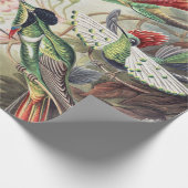 Hummingbird Bird Wildlife Classic Painting Cadeaupapier (Hoek)