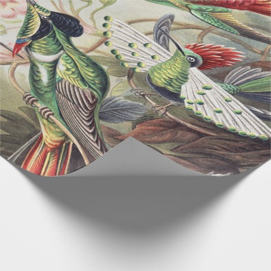 Hummingbird Bird Wildlife Classic Painting Cadeaupapier (Hoek)