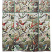 Hummingbird Bird Wildlife Classic Painting Douchegordijn (Voorkant)