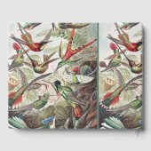 Hummingbird Bird Wildlife Classic Painting Gastenboek (Achterkant)