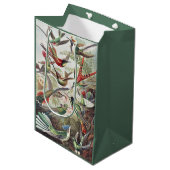 Hummingbird Bird Wildlife Classic Painting Medium Cadeauzakje (Voorkant Gekanteld)