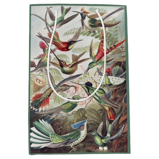 Hummingbird Bird Wildlife Classic Painting Medium Cadeauzakje (Voorkant)
