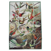 Hummingbird Bird Wildlife Classic Painting Medium Cadeauzakje (Achterkant)