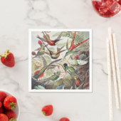 Hummingbird Bird Wildlife Classic Painting Servet (Insitu)