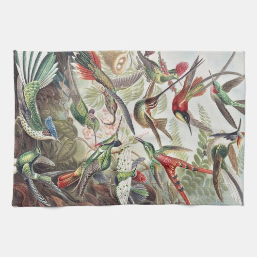 Hummingbird Bird Wildlife Classic Painting Theedoek (Horizontaal)