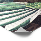 Hummingbird Bird Wildlife Classic Schilderij Poster (Hoek)