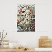 Hummingbird Bird Wildlife Classic Schilderij Poster (Keuken)