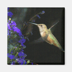 Hummingbird Bird Wildlife Floral Magneet
