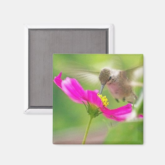 Hummingbird Bird Wildlife Floral Magneet (Voorkant / Achterkant)