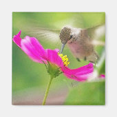 Hummingbird Bird Wildlife Floral Magneet (Voorkant)
