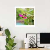 Hummingbird Bird Wildlife Floral Poster (Thuiskantoor)