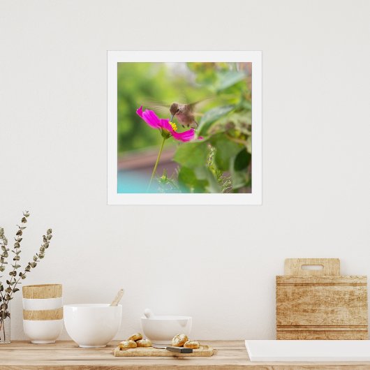 Hummingbird Bird Wildlife Floral Poster (Keuken)