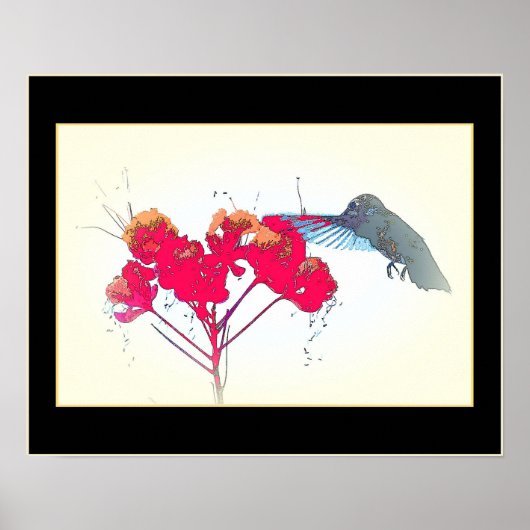 Hummingbird Bird Wildlife Floral Poster (Voorkant)