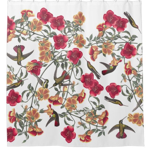 Hummingbird Birds Audubon Floral Shower Curtain Douchegordijn (Voorkant)