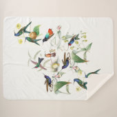 Hummingbird Birds Flowers Animals Sherpa Blanket Sherpa Deken (Voorkant (horizontaal))