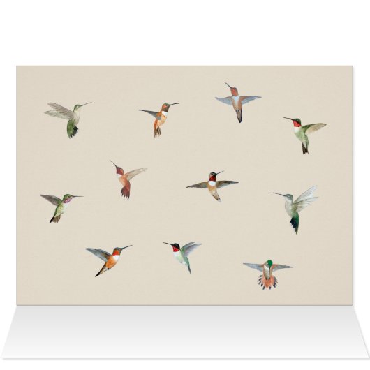 Hummingbird Birthday Card (Binnen Horizontaal (Boven))
