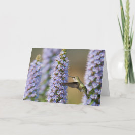 Hummingbird Birthday Card Kaart