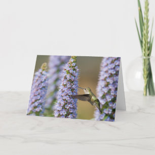 Hummingbird Birthday Card Kaart