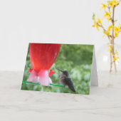 Hummingbird Birthday Card Kaart (Gele Bloem)
