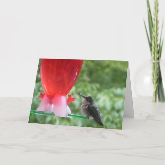 Hummingbird Birthday Card Kaart (Voorkant)