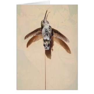 Hummingbird Blank Card van Andrew Denman