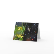 Hummingbird Blank Wenskaart