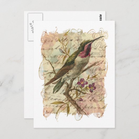 Hummingbird Briefkaart (Voorkant / Achterkant)