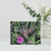 HUMMINGBIRD BRIEFKAART (Staand voorkant)