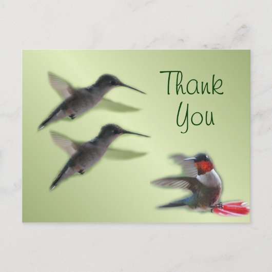Hummingbird Briefkaart Bedankt voor elke gelegenhe (Voorkant)