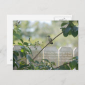 Hummingbird Briefkaart with "Little Des Quote" (Voorkant / Achterkant)