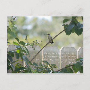Hummingbird Briefkaart with "Little Des Quote"