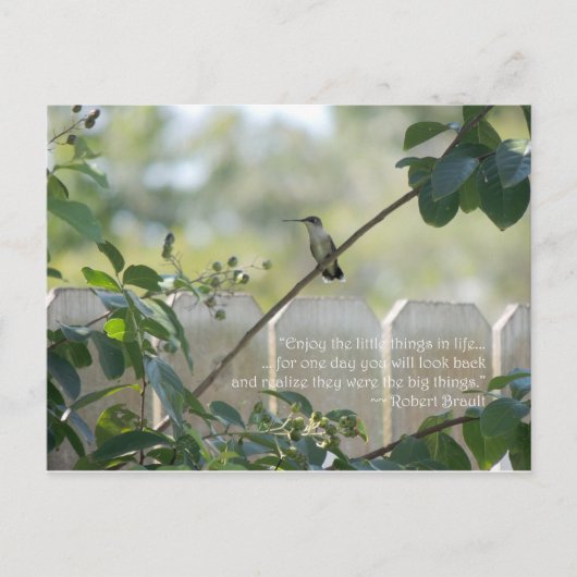 Hummingbird Briefkaart with "Little Des Quote" (Voorkant)