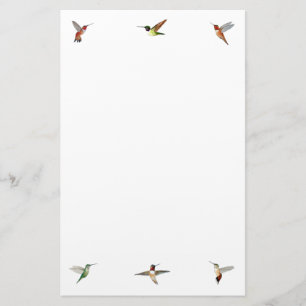 Hummingbird briefpapier