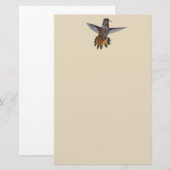 HUMMINGBIRD BRIEFPAPIER (Voorkant / Achterkant)