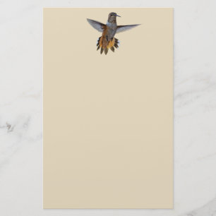 HUMMINGBIRD BRIEFPAPIER