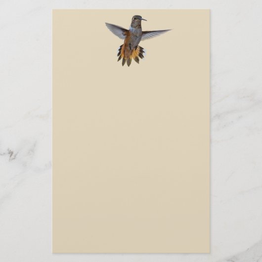 HUMMINGBIRD BRIEFPAPIER (Voorkant)