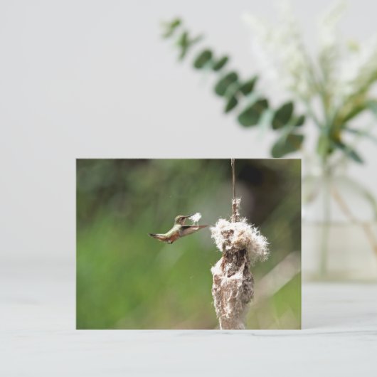 Hummingbird Building a Nest Briefkaart (Staand voorkant)