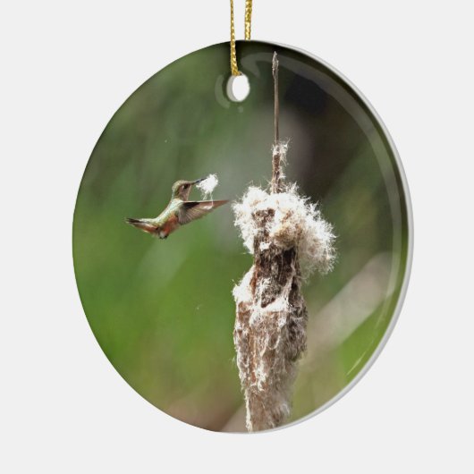 Hummingbird Building a Nest Keramisch Ornament (Links)