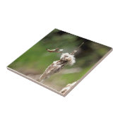 Hummingbird Building a Nest Tegeltje (Zijkant)