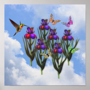 Hummingbird Butterflies Iris Flowers Poster