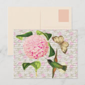 Hummingbird Butterfly en Caryophyllus Briefkaart (Voorkant / Achterkant)