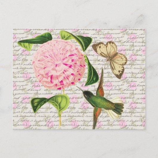 Hummingbird Butterfly en Caryophyllus Briefkaart (Voorkant)