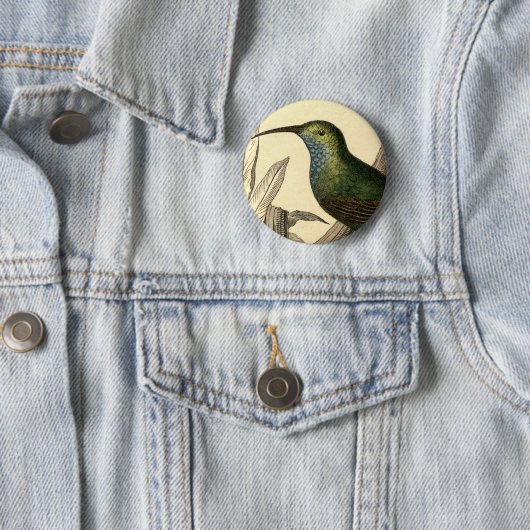  Hummingbird Button (In situ)