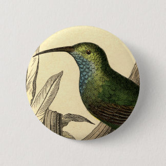  Hummingbird Button