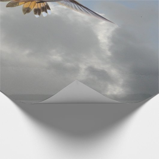 HUMMINGBIRD CADEAUPAPIER (Hoek)