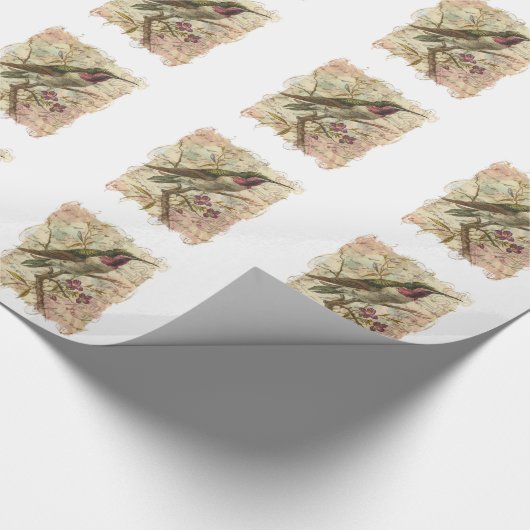 Hummingbird Cadeaupapier (Hoek)