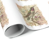 Hummingbird Cadeaupapier (Rol Hoek)