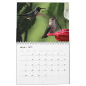 Hummingbird Calendar 2016- change year as required Kalender (Mar 2027)