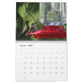 Hummingbird Calendar 2017- change year as required Kalender (Jan 2027)