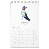 Hummingbird Calendar Kalender (Mar 2027)